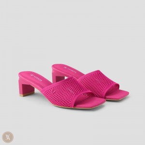 Pitaya Mesh VIVAIA Juliet Women's Square-Toe Block Heel Slide | VNA-5987