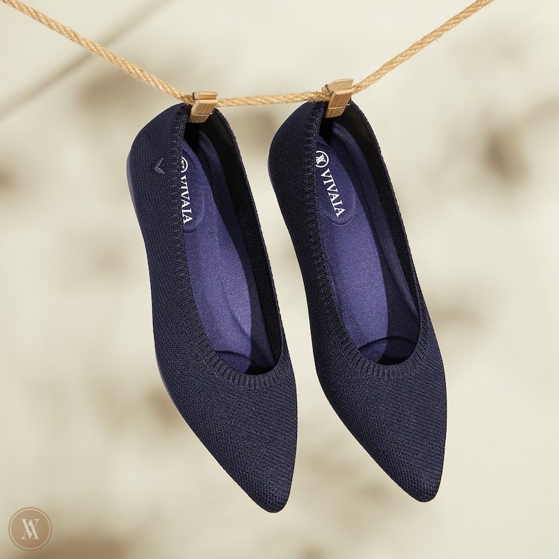 Navy VIVAIA Aria 5° Women's Pointed-Toe Ballet Flats | NHW-5789